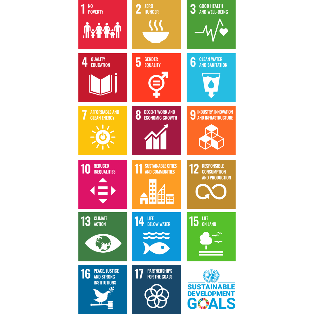 Sustainable development goals 2
