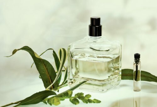parfum-verre-plante