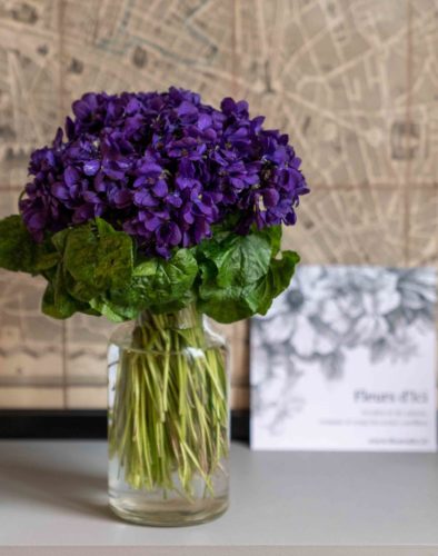 violettes-fleurs-vase
