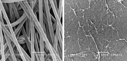 noir-blanc-cellulose-microscopie-electronique