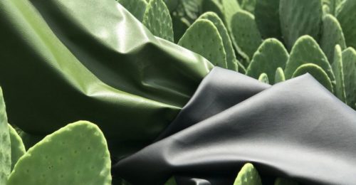 textile-sur-cactus