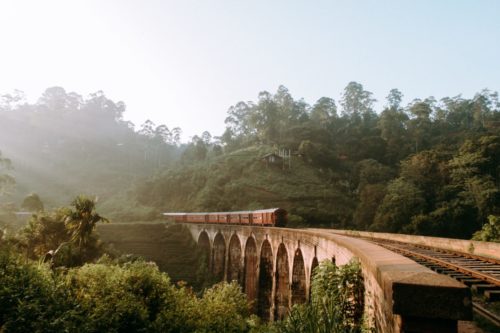train-nature