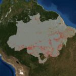 carte-deforestation-amazonie