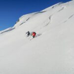 ski-flocon-vert